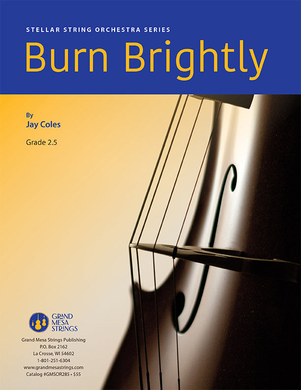 Strings sheet music cover of Burn Brightly, composed by Jay Coles.
